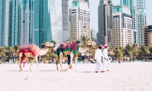 Dwa wielbłądy na plaży w Dubaju, z dwoma mężczyznami w tradycyjnych strojach. Zastanawiasz się, ile się leci do Dubaju?