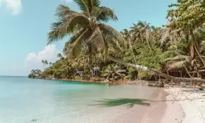 Rajska plaża z palmami i turkusową wodą. Zastanawiasz się, ile się leci do Tajlandii, by poczuć taki spokój?