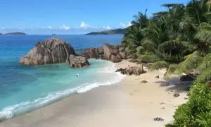 Rajska plaża na Seszelach, turkusowa woda, palmy i skały. Zastanawiasz się, ile się leci na Seszele, by poczuć ten spokój?