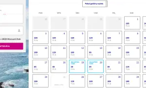 Szukasz tanich lotów na Sylwestra? Gdańsk-Turku, ceny od 39 PLN. Kalendarz lotów.