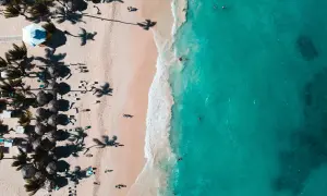 Rajska plaża z palmami i turkusową wodą. Zastanawiasz się, ile się leci na Dominikanę, by poczuć ten klimat?