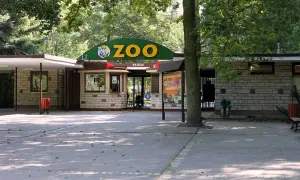 Wejście do zoo w Poznaniu. Jak dojechać z dworca PKP? Tu kupisz bilety i wejdziesz do świata zwierząt.
