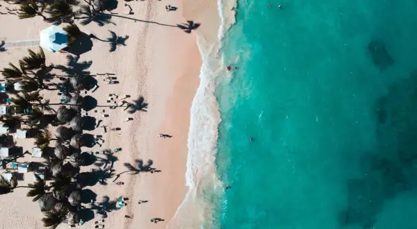 Rajska plaża z palmami i turkusową wodą. Zastanawiasz się, ile się leci na Dominikanę, by poczuć ten klimat?