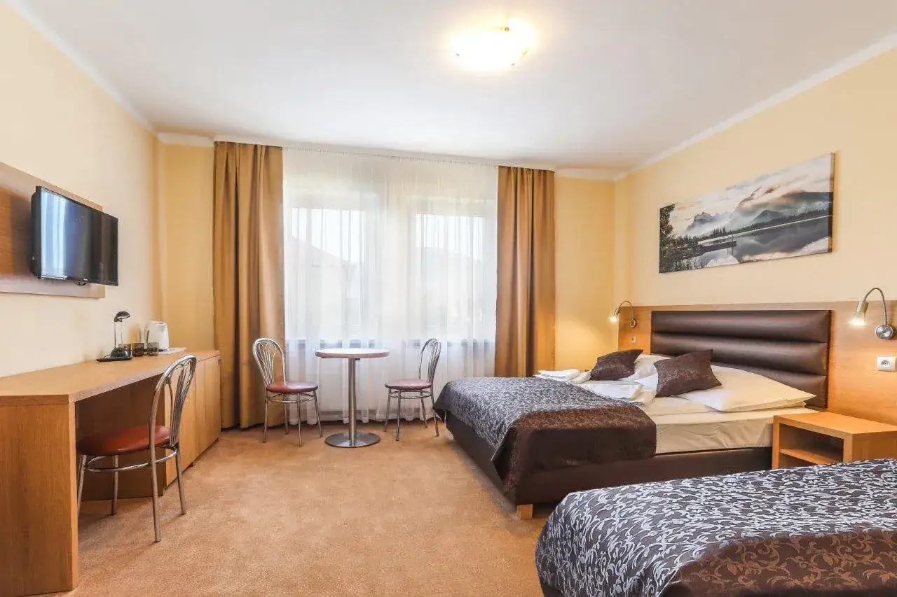 Pokój w hotelu Milena Milówka z dwoma łóżkami, biurkiem i telewizorem.